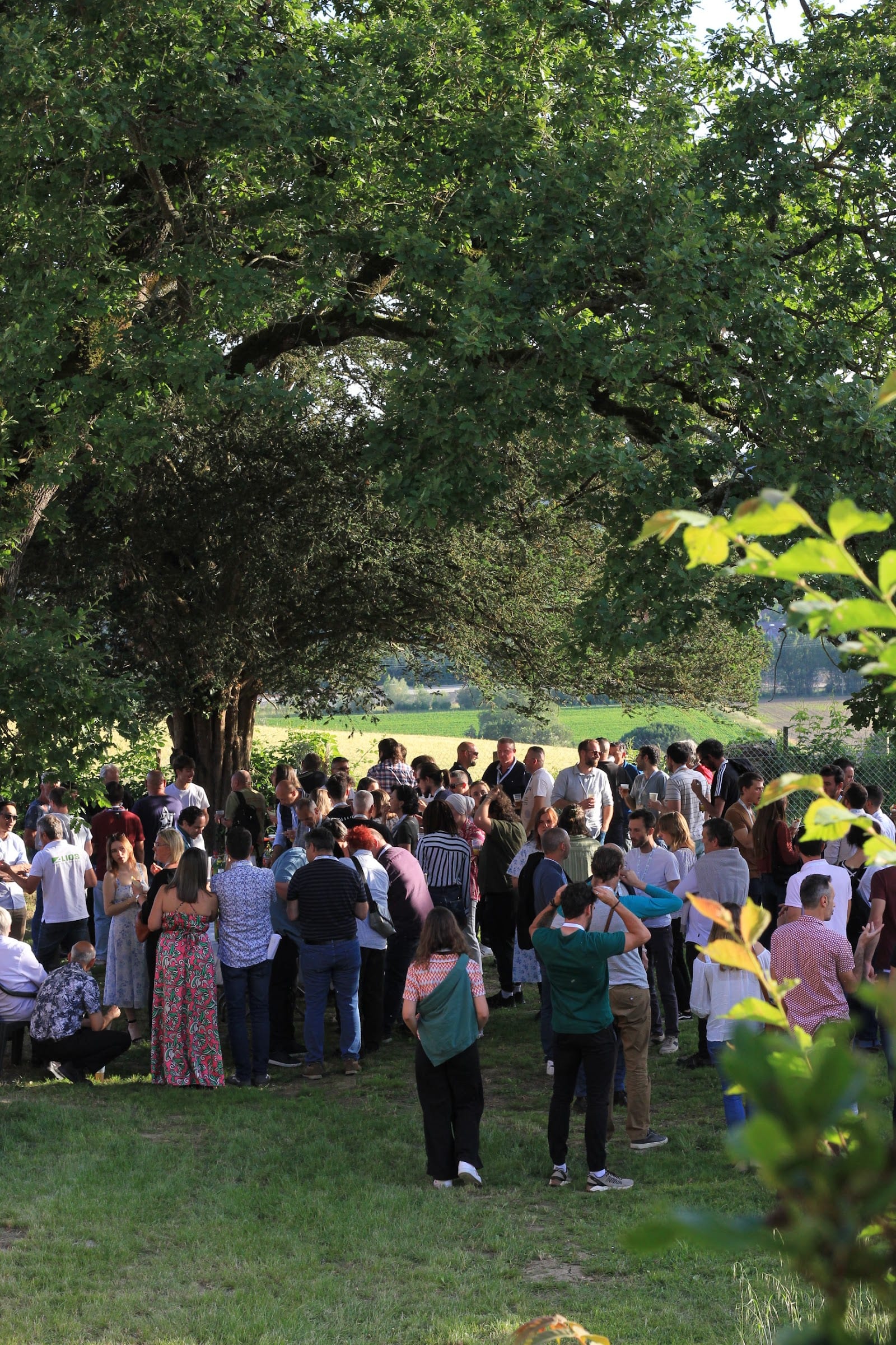 L'Orangerie Bonrepos-Riquet — photo 4