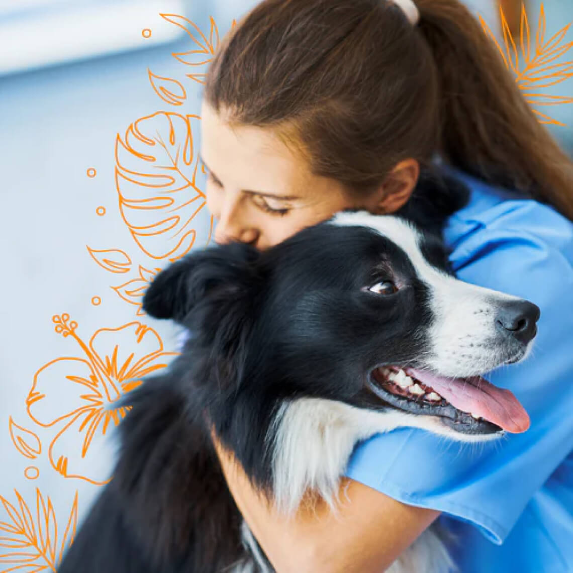 Banco Ripley | Veterinaria Mundo Kahu