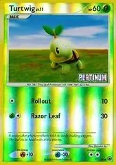 Turtwig #77