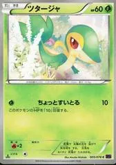 Snivy [1st Edition] #5