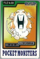 Raticate #20