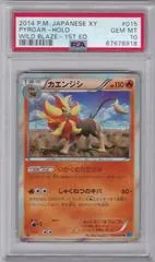 Pyroar #15