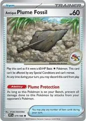 Antique Plume Fossil #79