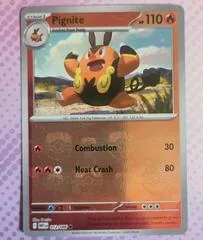 Pignite [Master Ball] #12