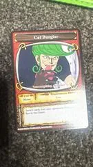 Cat Burglar TE022
