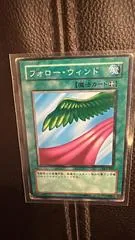 Follow Wind DL2-067