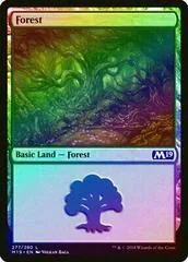 Forest