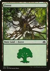 Forest #155