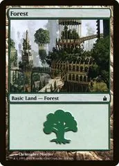 Forest #304