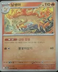 Rapidash #14