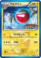 Electrode #173/BW-P