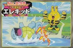 Elekid Vs Squirtle #239