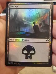 Swamp [Foil] #264