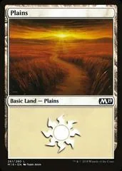 Plains #261