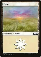 Plains #263