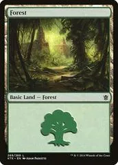 Forest [Foil] #269