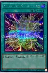 Overload Fusion QCCP-JP030