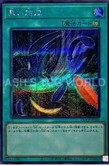 Black Whirlwind QCCP-JP142