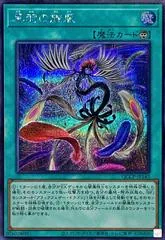 Black Feather Whirlwind [Secret Rare] QCCP-JP143