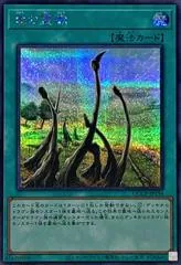 Dragon Shrine [Secret Rare] QCCP-JP194