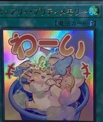 Purrely Pretty Memory LPST-JP038