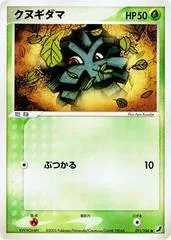 Pineco #11