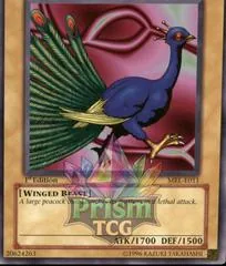 Peacock [1st Edition] MRL-E011