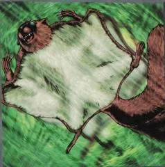 Nimble Momonga [1st Edition] MRL-E086