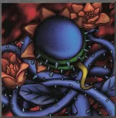 Darkworld Thorns [1st Edition] LOB-E092
