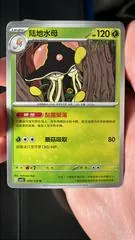 Toedscruel #9