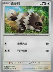 Zigzagoon #105