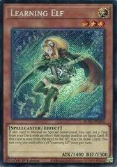 Learning Elf BLGG-EN026