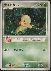 Turtwig [Fan Club] #1/PPP
