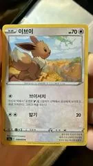 Eevee #58