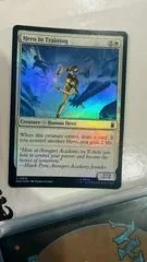 Hero in Training [Foil] #16