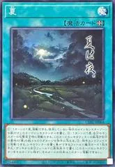 Summer CORI-JP064