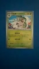 Vivillon #13