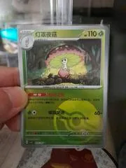 Shiinotic #18