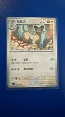 Persian #163