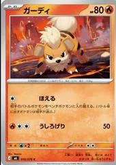 Growlithe #10
