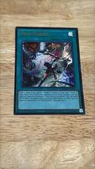 Filia Diabell MAMO-EN100
