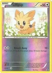 Lillipup #BW52