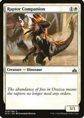 Raptor Companion #19