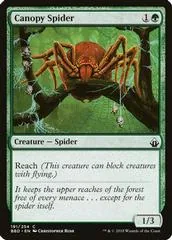 Canopy Spider #191