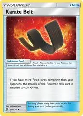 Karate Belt [Reverse Holo] #201