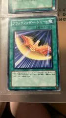 Black-Winged Strafe #TSHD-JP045