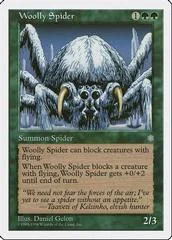 Woolly Spider