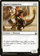 Raptor Companion #102