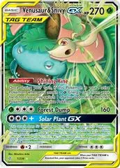 Venusaur & Snivy GX #1