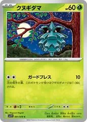 Pineco #1